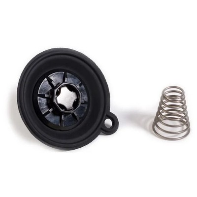 Picture of Rain Bird 100-PEB Diaphragm Assembly