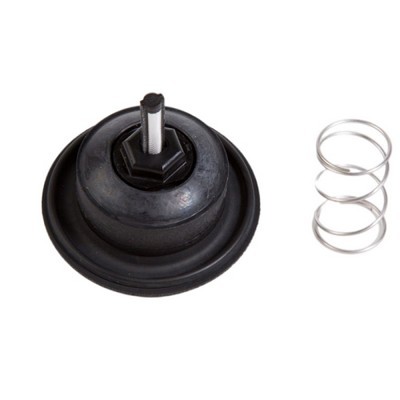 Picture of Rain Bird 100-PGA Diaphragm assembly