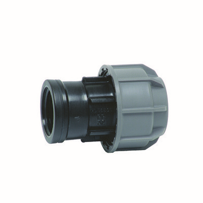 Picture of Plasson Agrifit Female Adaptor BSP Thread 25mm - 1"