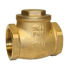 Picture of 1" BSP PN16 brass swing check nitrile rubber seated Non-Return Valve