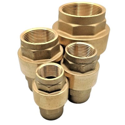 Picture of 1" BSPP brass spring operated check valve with polyacetal disc