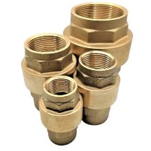 Picture of ½" BSPP brass spring operated check valve with polyacetal disc