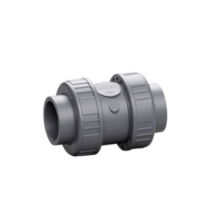 Picture of PVC Double Check Valve