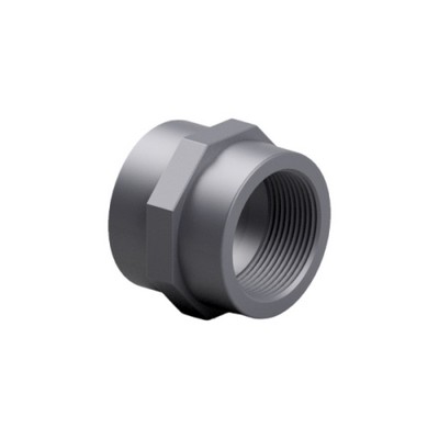 Picture of 63mm x 2" PVC Socket plain/threaded female BSP