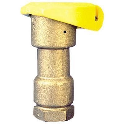 Picture of Rain Bird cover key for 5LRC locking cover on 1" quick coupling valve