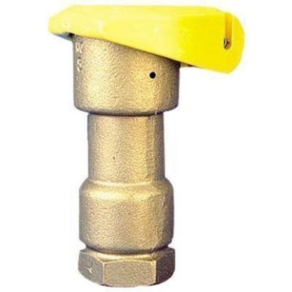 Picture of Rain Bird Brass Hydrant