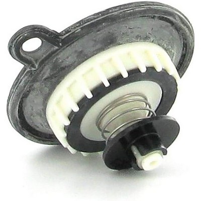 Picture of Hunter Diaphragm Assembly for 1" ICV with Filter Sentry